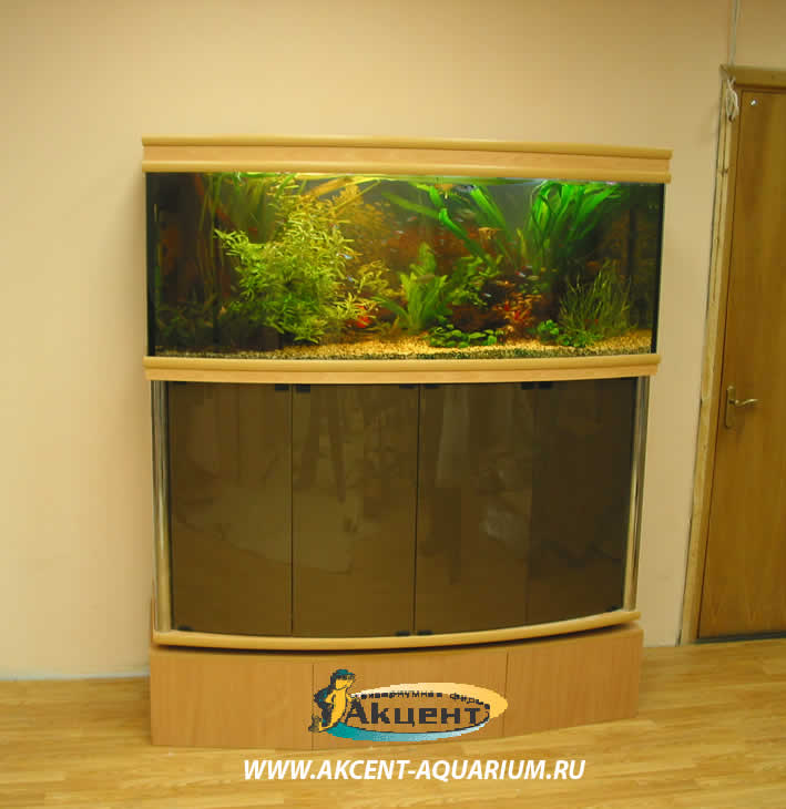 Акцент-аквариум,аквариум 400 литров с живыми растениями